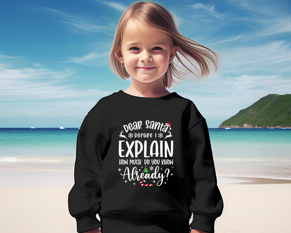 Before I Explain
