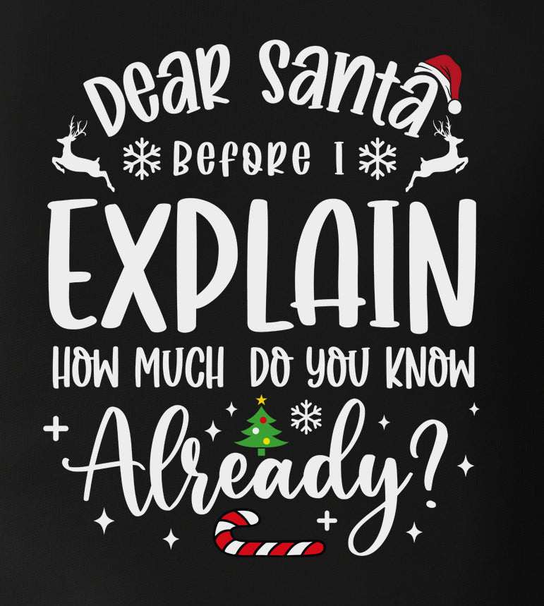 Before I Explain