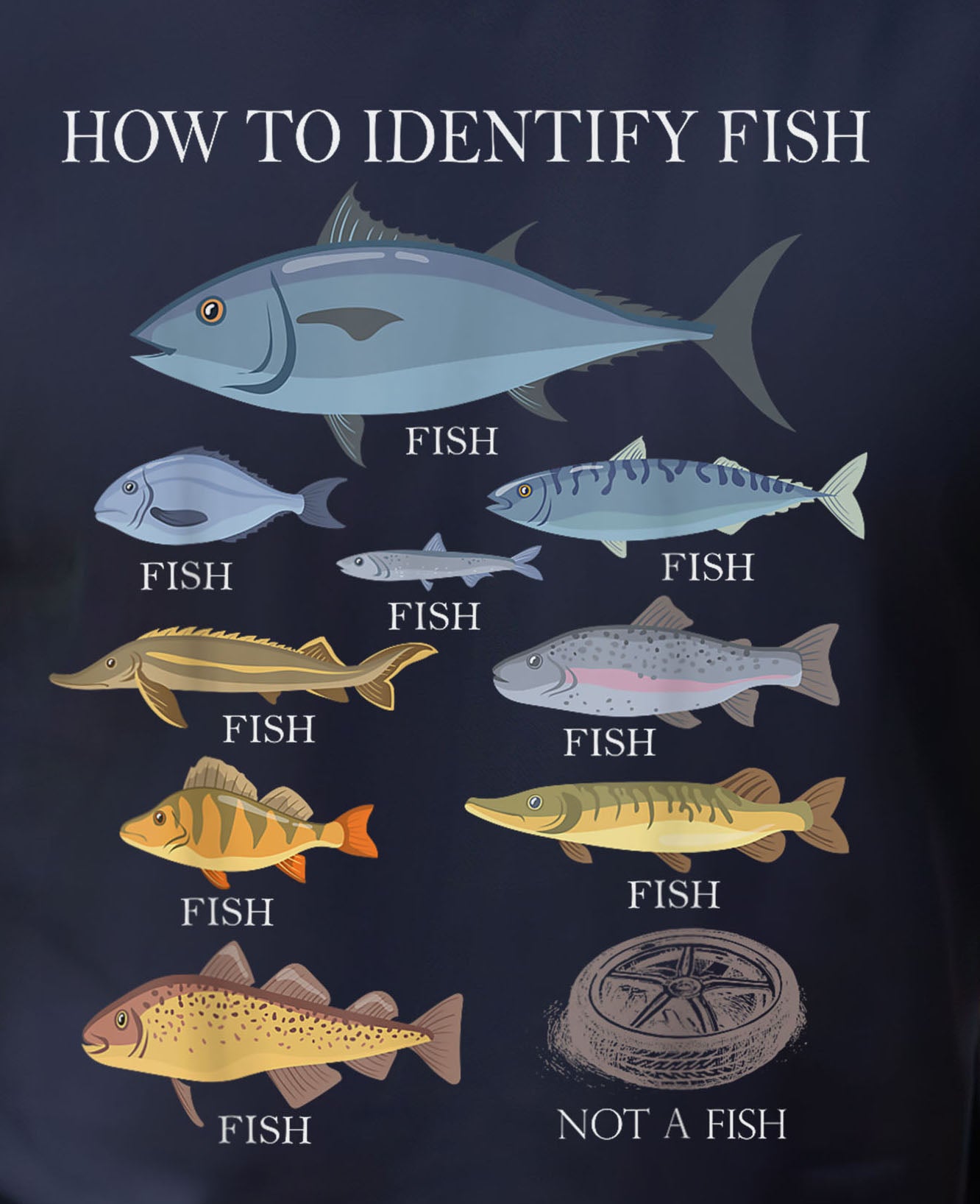 How To Identify Fish