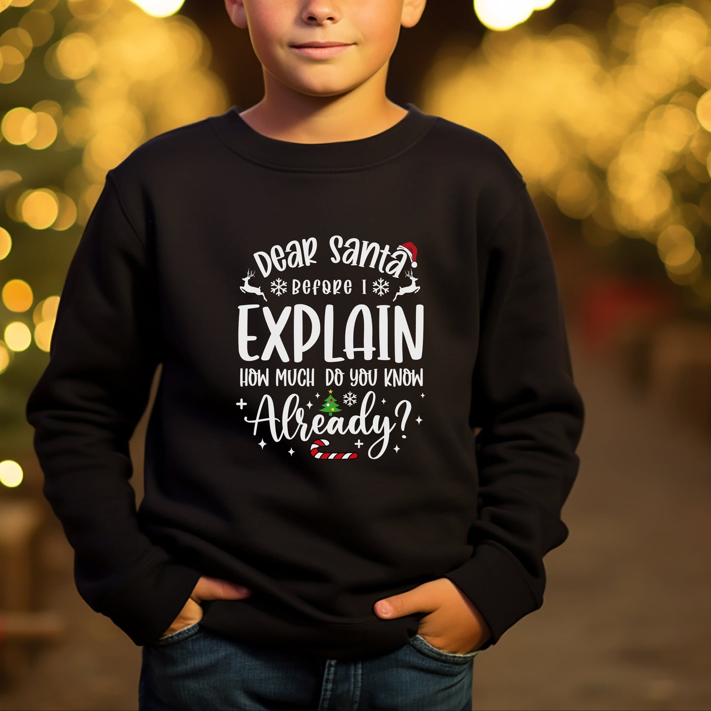 Before I Explain