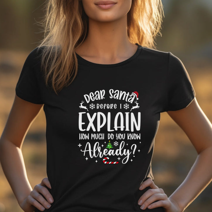 Before I Explain