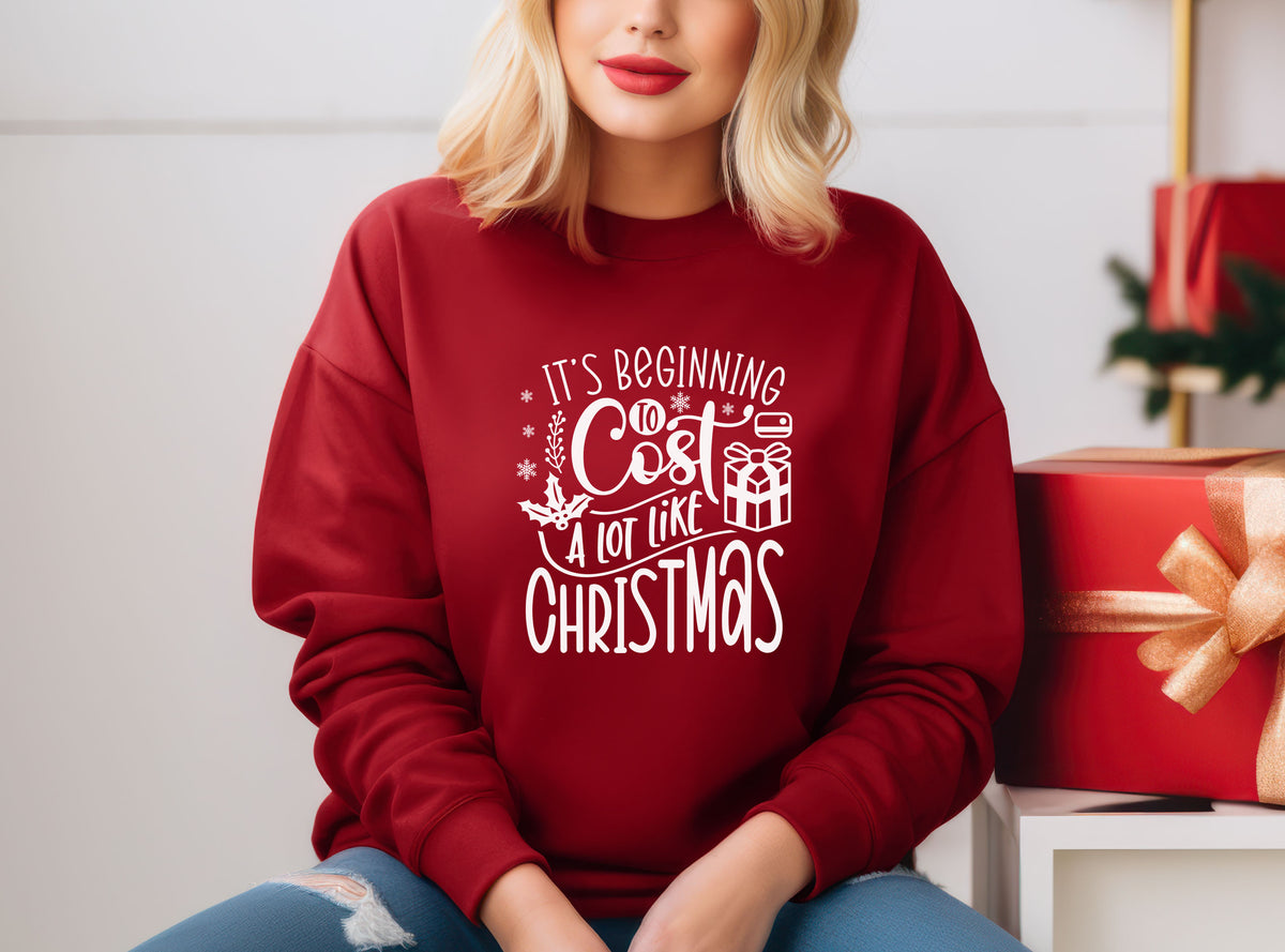 It's Beginning To Cost A Lot Like Christmas