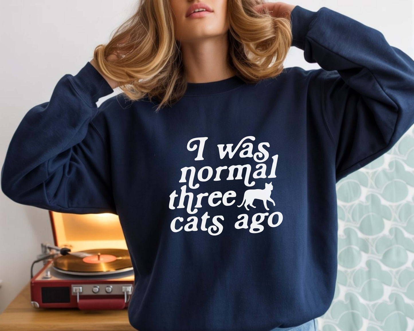 I Was Normal 3 Cats Ago