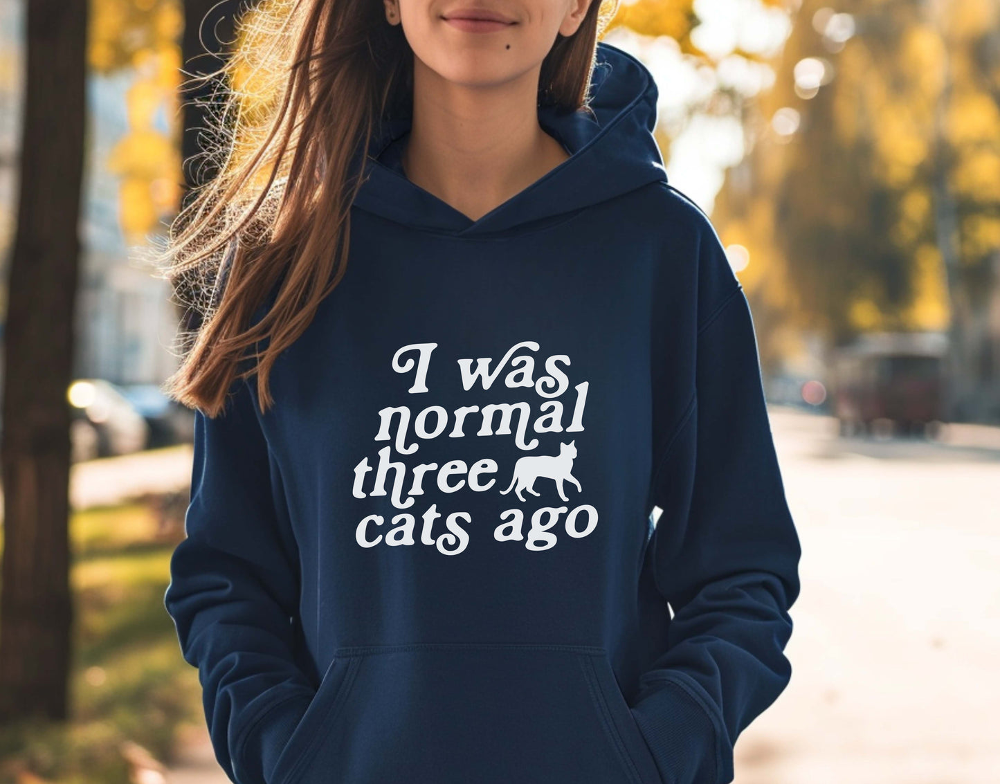 I Was Normal 3 Cats Ago