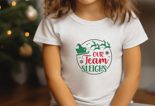 Our Team Sleighs