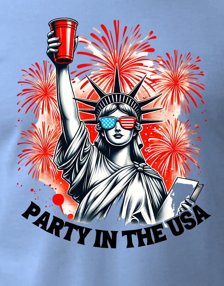 Party In The USA 2