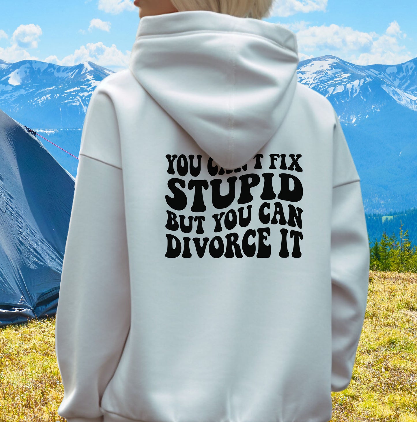 You Can't Fix Stupid But You Can Divorce It