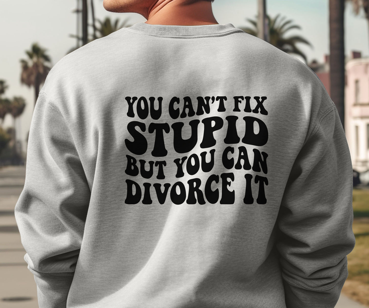 You Can't Fix Stupid But You Can Divorce It